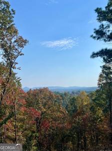 Lot 292 Creekside Crossing # 292, Talking Rock GA 30175