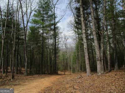 TR B East New Hope Road # B, Ellijay GA 30536