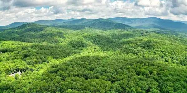 23.83 Pine Crest Road, Jasper GA 30143