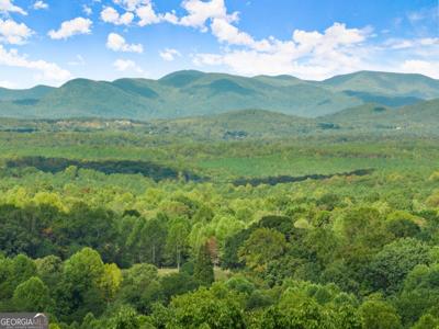 25 Long Mountain Trail, Cleveland GA 30528