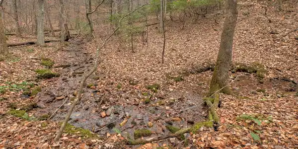 Lot 16-19 Spruill Drive, Ellijay GA 30536