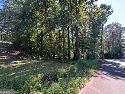 2.5 AC Mango Lane # 733, Ellijay GA 30540