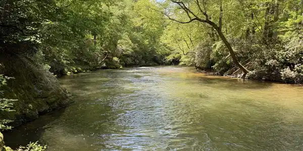 858 River Forest Run, Cleveland GA 30528