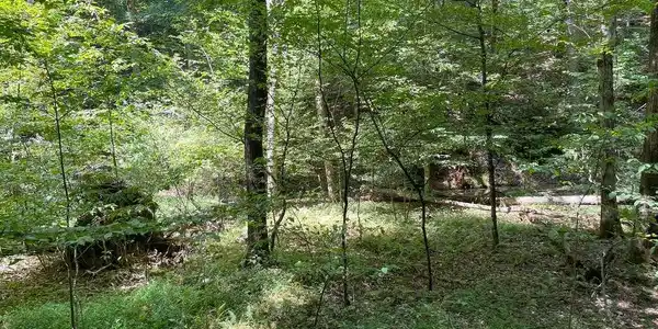 Lot 223 Bowline Drive # 223, Ellijay GA 30540