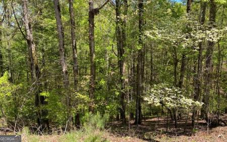 254 Myna Drive, Ellijay GA 30540