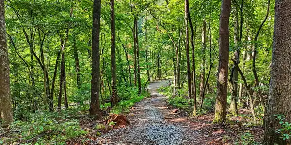 417 Kelly Mountain Road, Clarkesville GA 30523