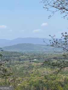 Lot 189 Hawks Nest Court # 189, Ellijay GA 30536