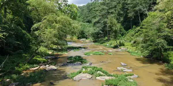 297 Pebble Trace, Talking Rock GA 30175