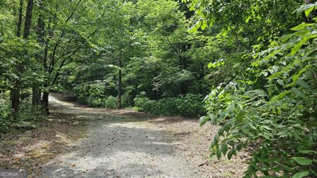 Lot 20 Winding View Drive, Clayton GA 30525