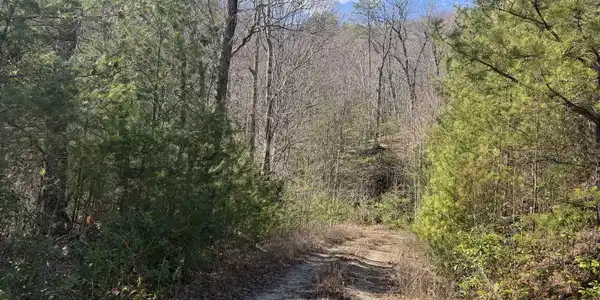 Shadow Mountain Drive # 32, Dillard GA 30537