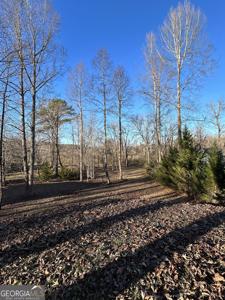 LOT 11 Willow Springs Rd