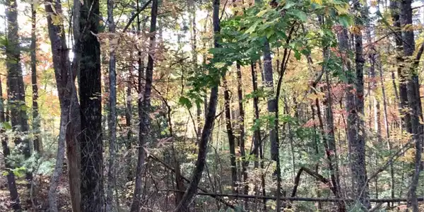 Lot 142 Andros Court, Ellijay GA 30540