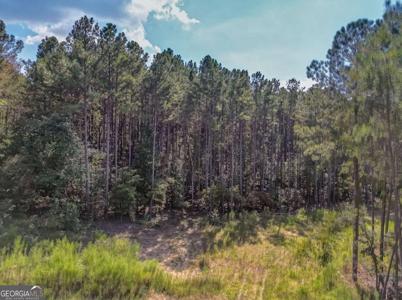 Government Farm Road, Rockmart GA 30153