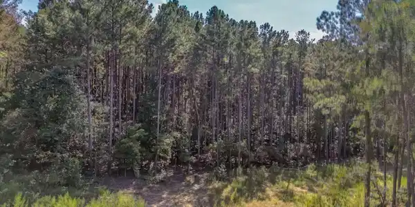 Government Farm Road, Rockmart GA 30153