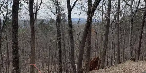 0 Coachwhip Trail