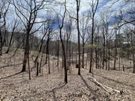 0 Crippled Oak Trail