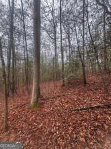Lot 120 W Mountaintown Trail, Ellijay GA 30540