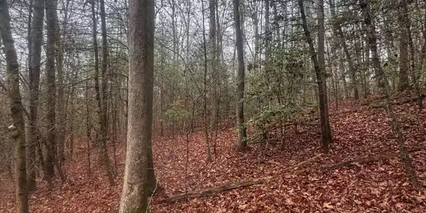 Lot 120 W Mountaintown Trail, Ellijay GA 30540