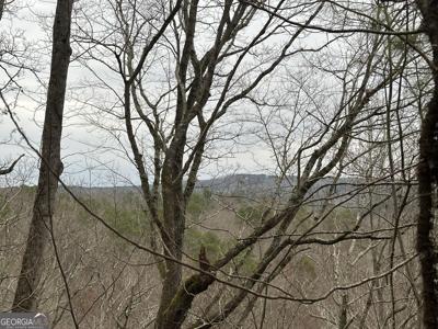 306 Oberlin Court, Ranger GA 30734