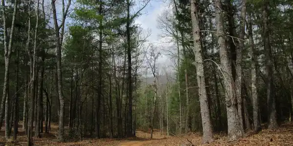 TR B East New Hope Road # B, Ellijay GA 30536
