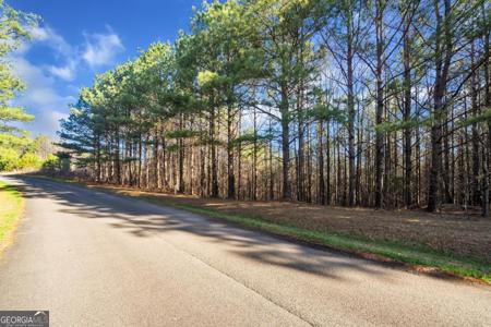 Lot 38 Foxpaw Leaf Lane # 38, Ellijay GA 30536