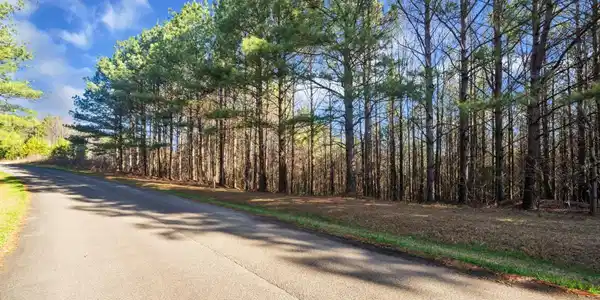Lot 38 Foxpaw Leaf Lane # 38, Ellijay GA 30536