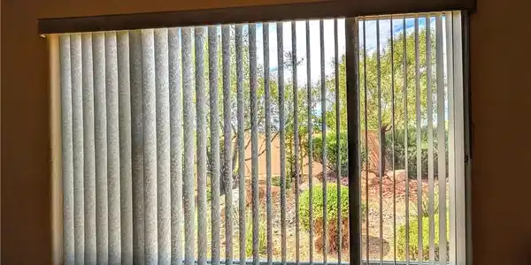 Image 4: A wide window framing serene garden and backyard v