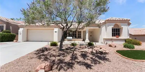 Image 2: A desert-friendly landscape with a blooming tree e