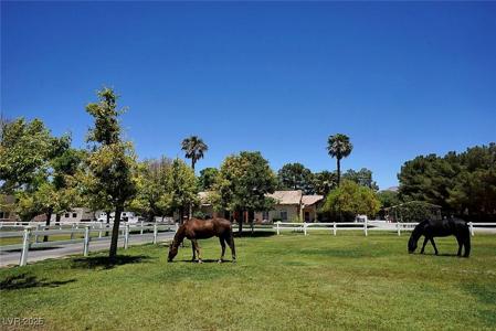 6600 Via Provenza Avenue