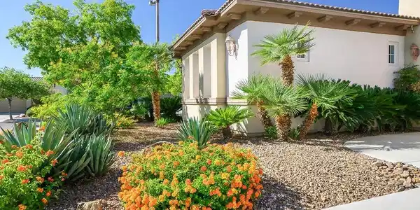 Image 4: Front Yard in Full Bloom Photo September 2025