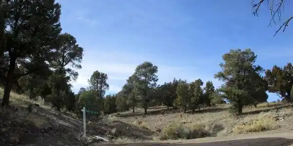 Image 2: View of dirt / gravel road with a view of countrys
