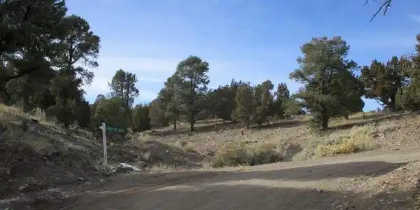 Image 3: View of dirt / gravel road with a view of rural /