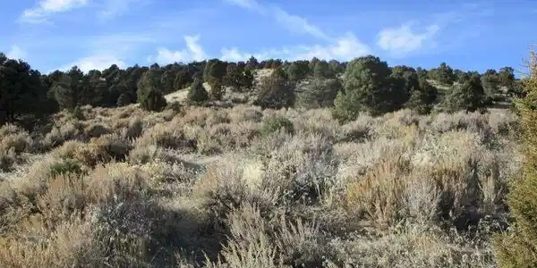 Image 3: View of nature