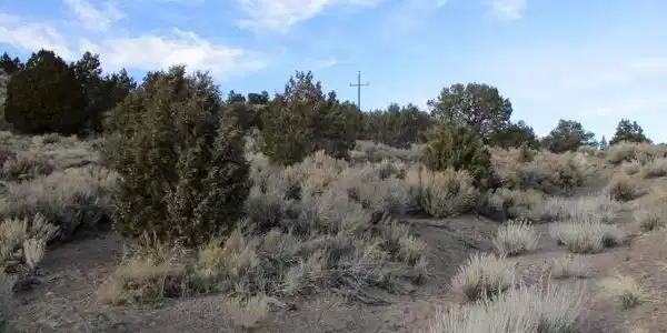 Image 2: View of nature