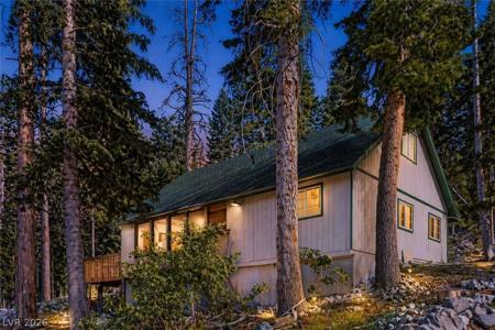 525 Snow Fall Trail