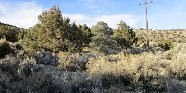 Image 2: View of undeveloped land