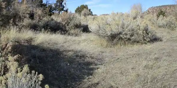 Image 3: View of nature