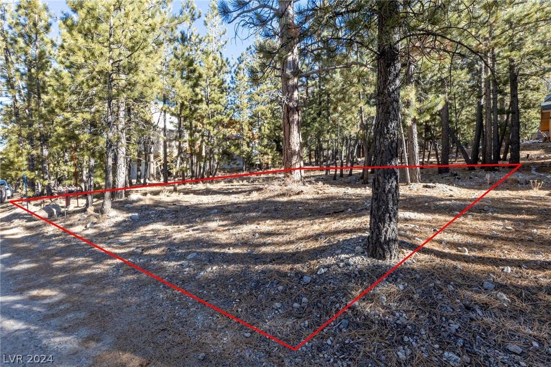 Image 4: dirt/gravel road frontage