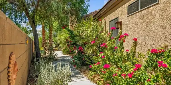 Image 3: A vibrant pathway leads through a xeriscaped garde