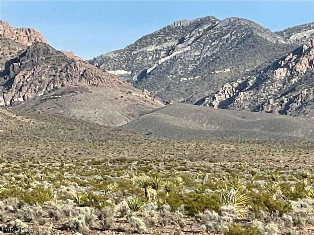 Image 3: Representative of the area