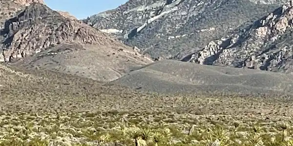 Image 3: Representative of the area