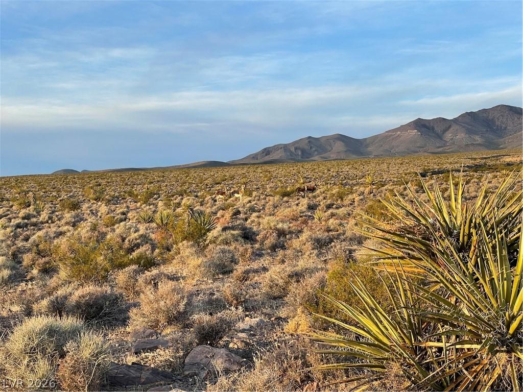 Image 4: representative of the area