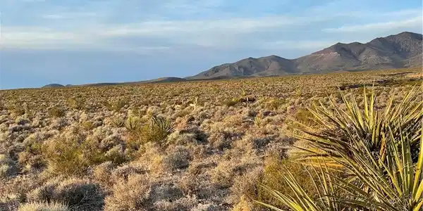 Image 4: representative of the area