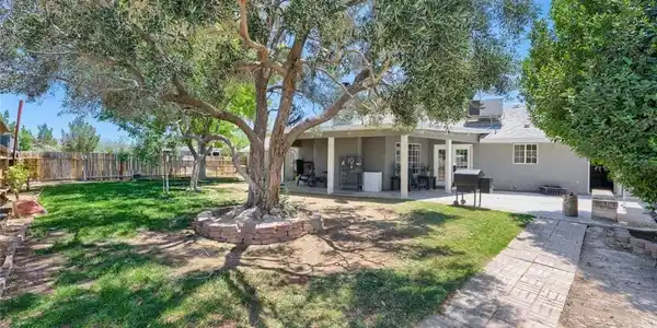 Image 3: Backyard