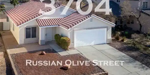 3704 Russian Olive Street
