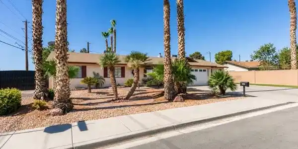 Image 3: Mature palms punctuate the desert landscaping in f