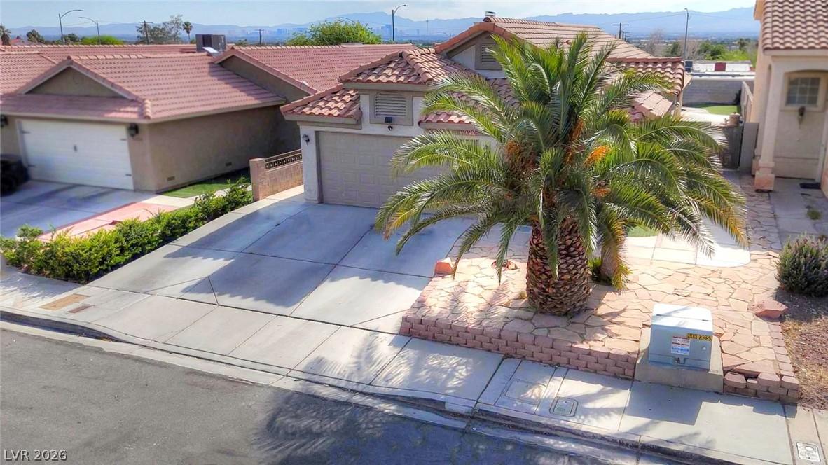 Image 3: A terracotta-tiled roof and mature palm trees defi