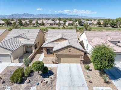 7817 Homing Pigeon Street