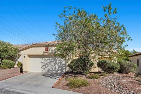 6338 Black Mane Way