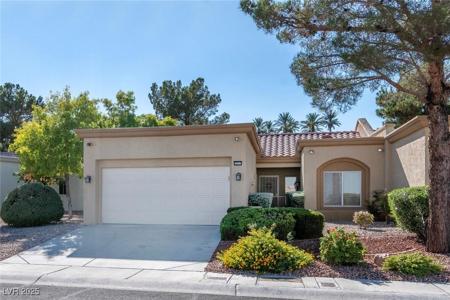 2513 Dark Peak Drive